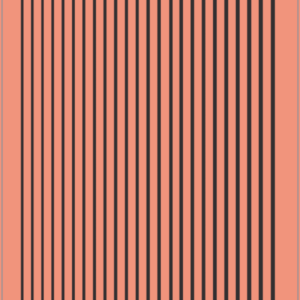 Pinstriping Waterslide Decal – Medium (297mm Length, Various Widths) – Black