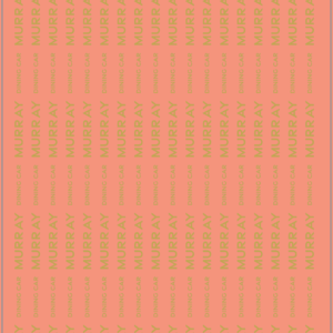 Scar Railway Wagon Multi-Scale Waterslide Decals