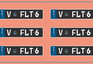 V FLT6’ VIC Slimline Licence Plates – Multi-Scale Waterslide Decals