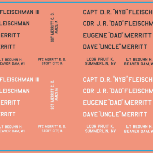 Custom Pilot Names Decals – Multi-Scale Waterslide Decals